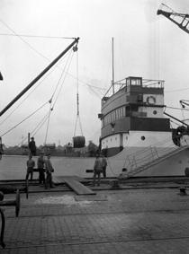 Stuveriarbetare i Norrköpings hamn på 1950-talet. Bild: Werngrens ateljé